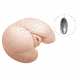 Мастурбатор вагіна і анус з вібрацією BAILE - VAGINA AND ASS, Heating function Vibration, BM-009023