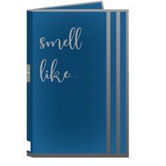Парфюмерная вода с феромонами для мужчин Smell Like #&nbsp;10 for Man, 1 ml