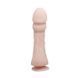 Фаллоимитатор на присоске " BIG Penis " BW-007011C