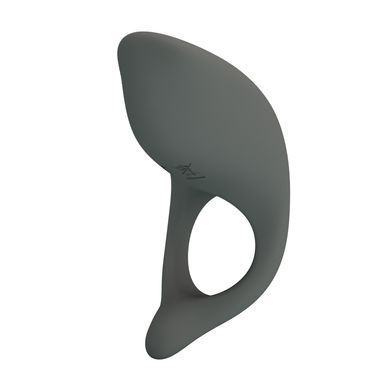 Кольцо эрекционное серии Pretty Love - Master ring, BI-210162-1