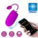 Виброяйцо серии Pretty Love "ABNER" BI-014362HP