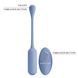 Віброяйце з дистанційним управлінням Pretty Love - Lechies Dream chaser 5 Blue, BI-014867W-A5